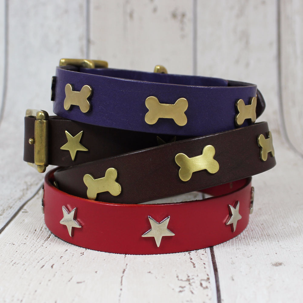Purple Creature Clothes Dog Collar with Bones - Doghouse