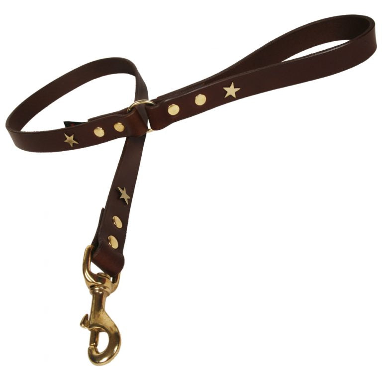 Creature Clothes Chocolate Star Dog Lead - DOGHOUSE