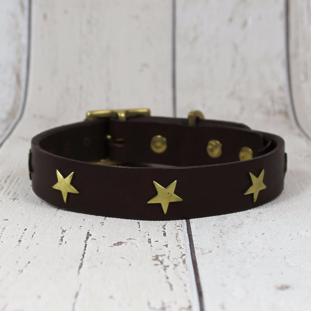 Chocolate Star Creature Clothes Dog Collar - Doghouse