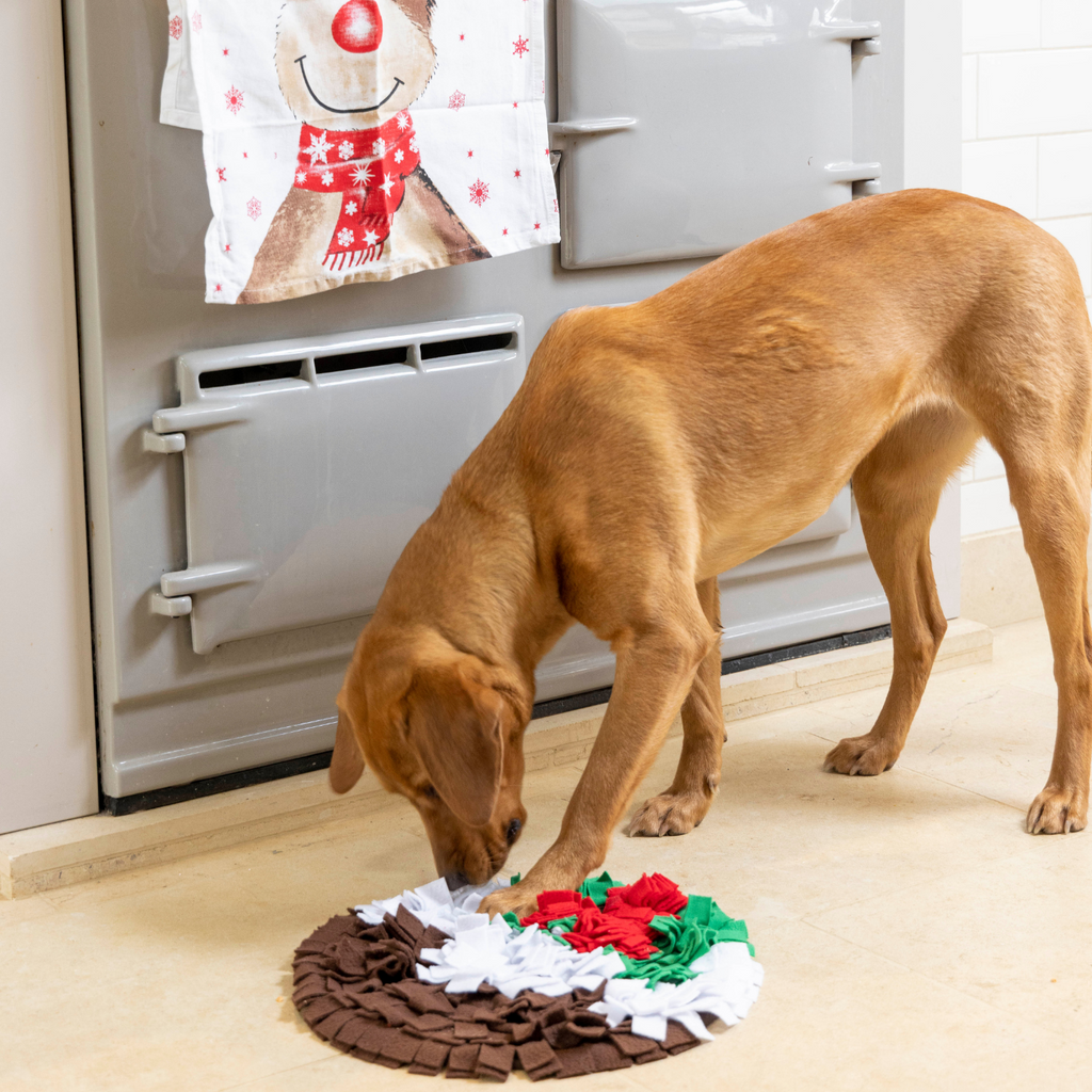 https://www.doghouse.co.uk/cdn/shop/products/christmaspuddingsnufflemat_1024x1024.png?v=1669218878