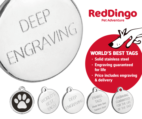 Paw Print ID Tag - Doghouse
