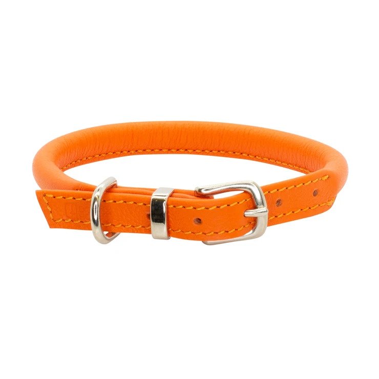 Orange Rolled Leather Dog Collar - Doghouse