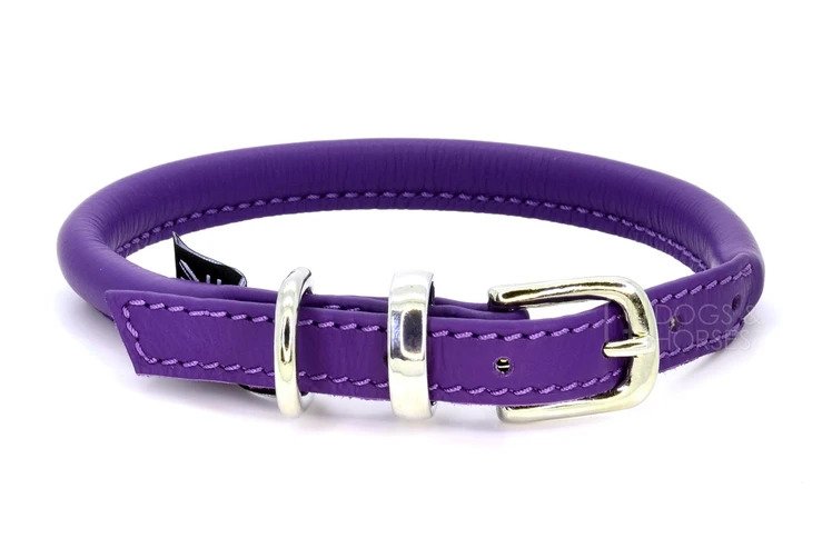 Purple Rolled Leather Dog Collar - Doghouse