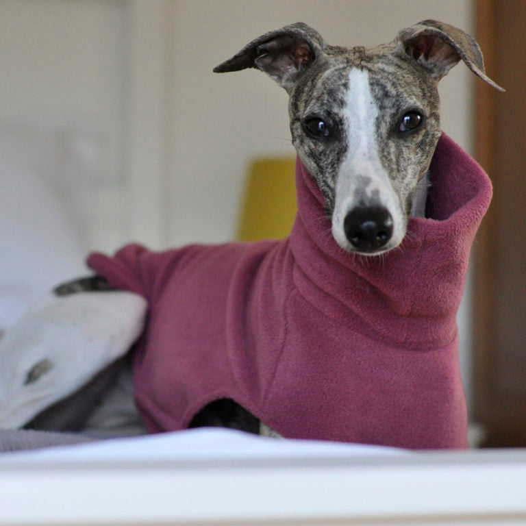 Whippet Fleece Jumper - Rose coloured - Redhound for dogs