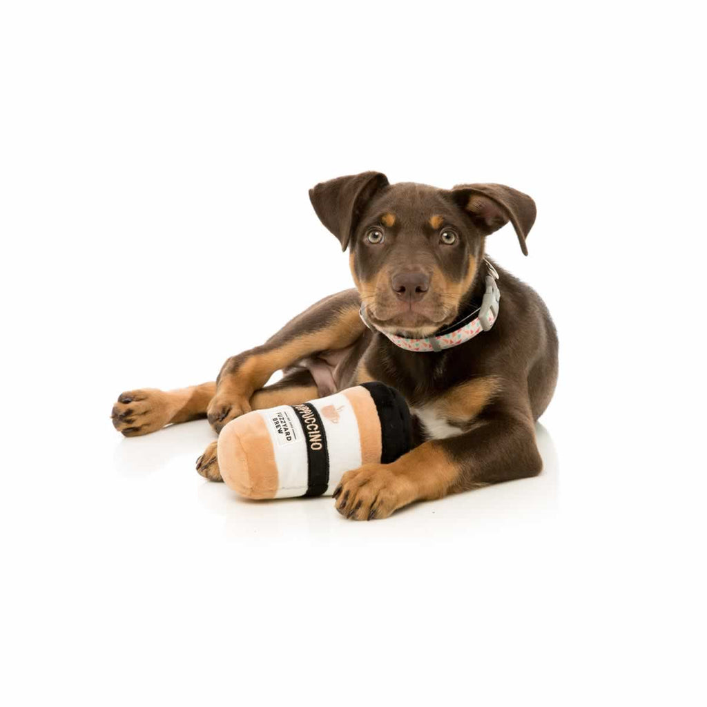 puppaccino dog toy
