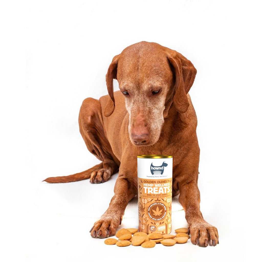golden oldies dog treats for dogs aged 7+