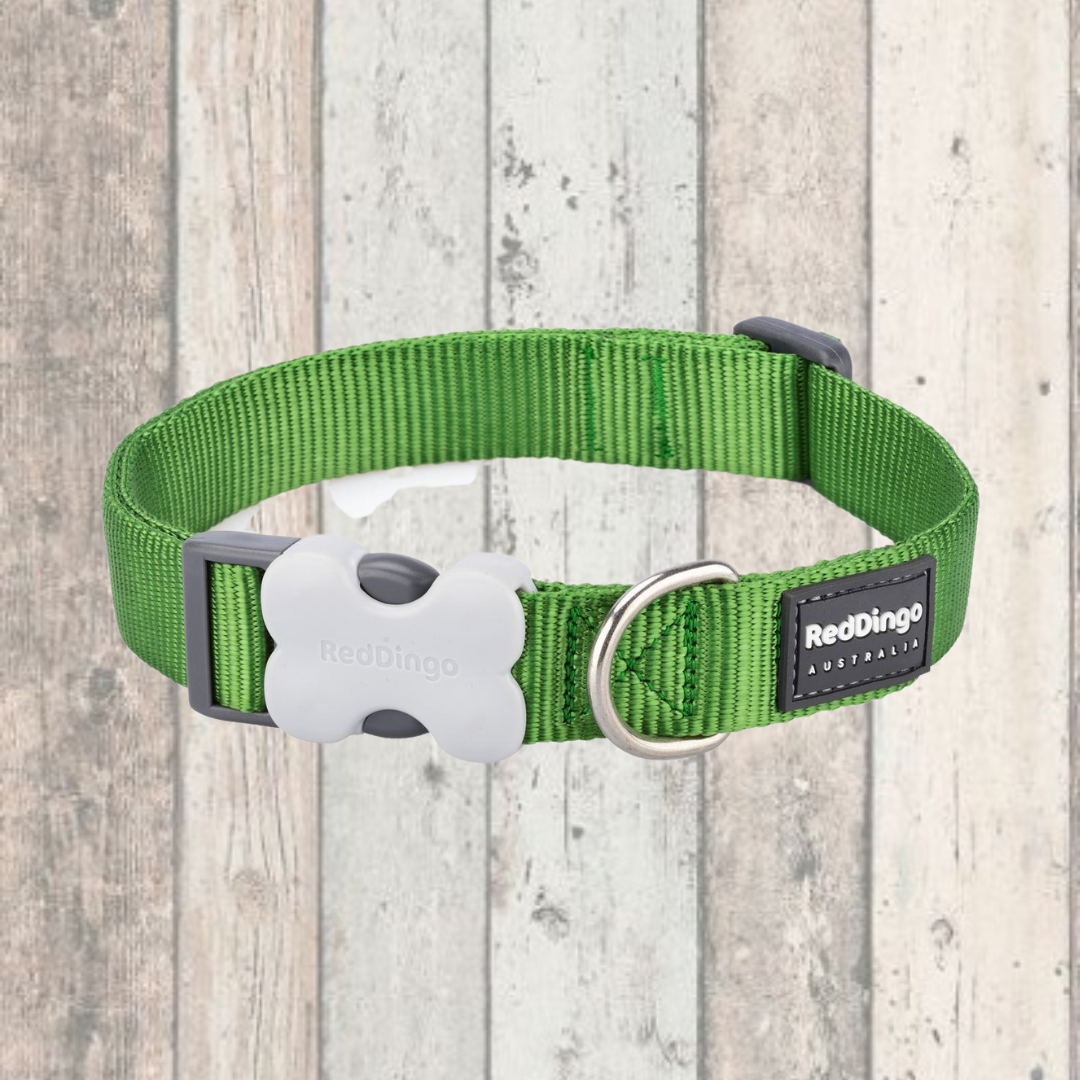 Smallest bark collar 2024 available