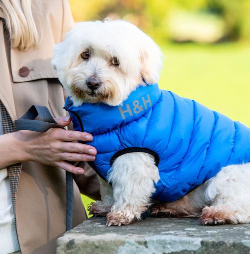Dog Puffer jackets