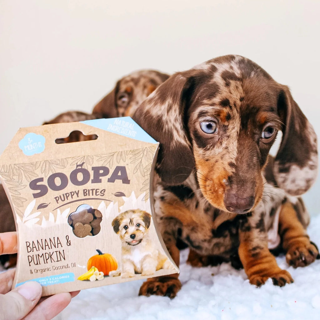 Soopa Healthy Bites for dogs