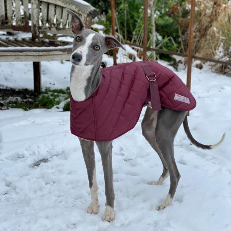 quilted whippet coat