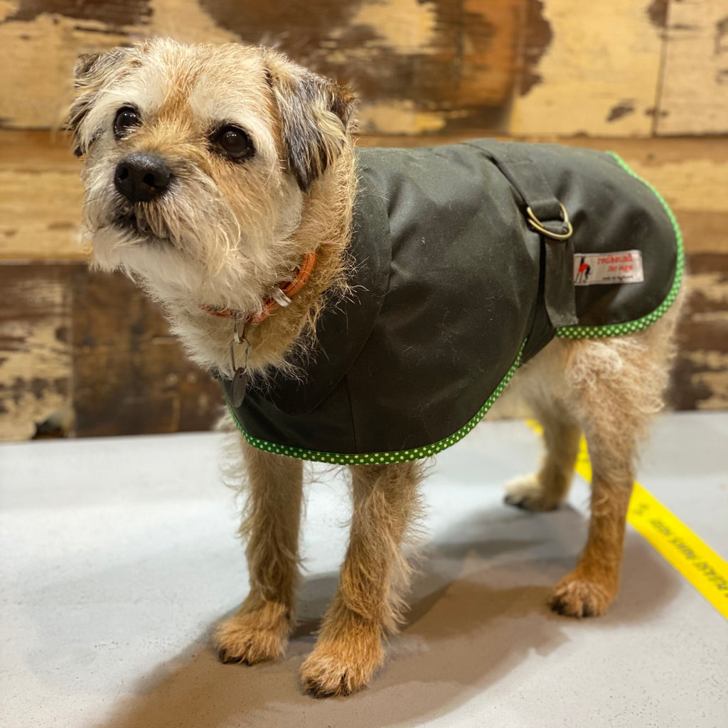 Wax Jacket for Dogs - Doghouse