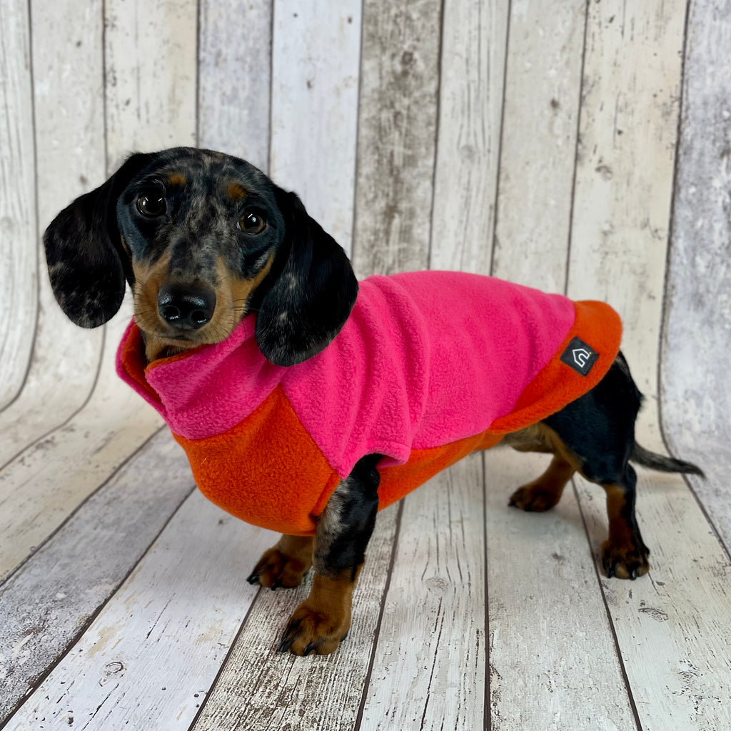Dachshund jumpers for clearance humans