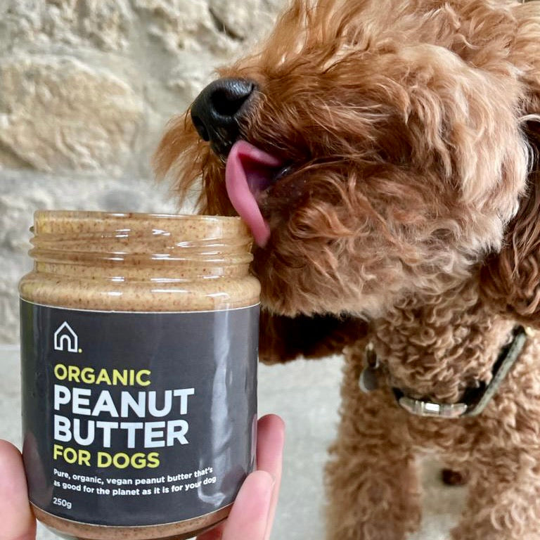 Organic Peanut Butter for Dogs Made on the Cornish Coast