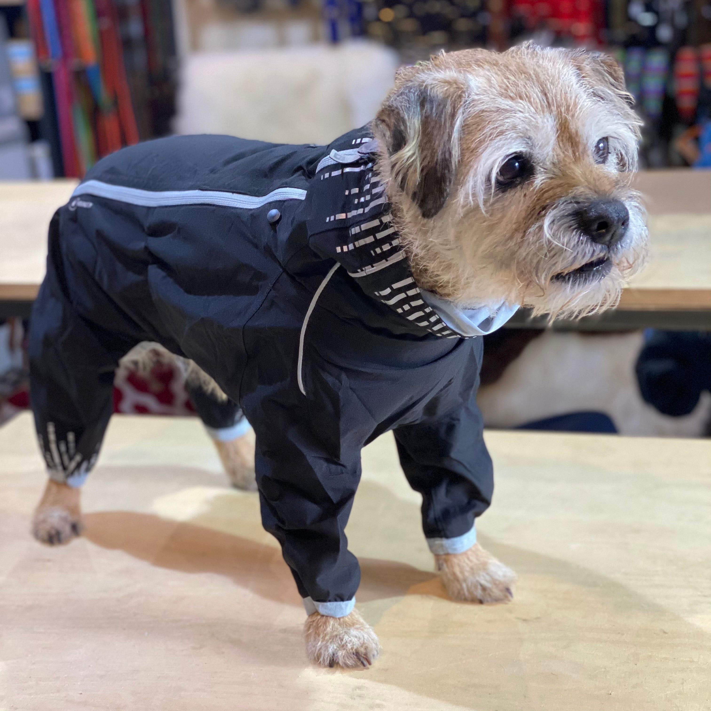 Top Coat Full Body Waterproof Dog Suit Hurtta Downpour Suit