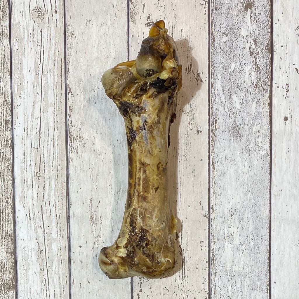 Ostrich Bone - Doghouse