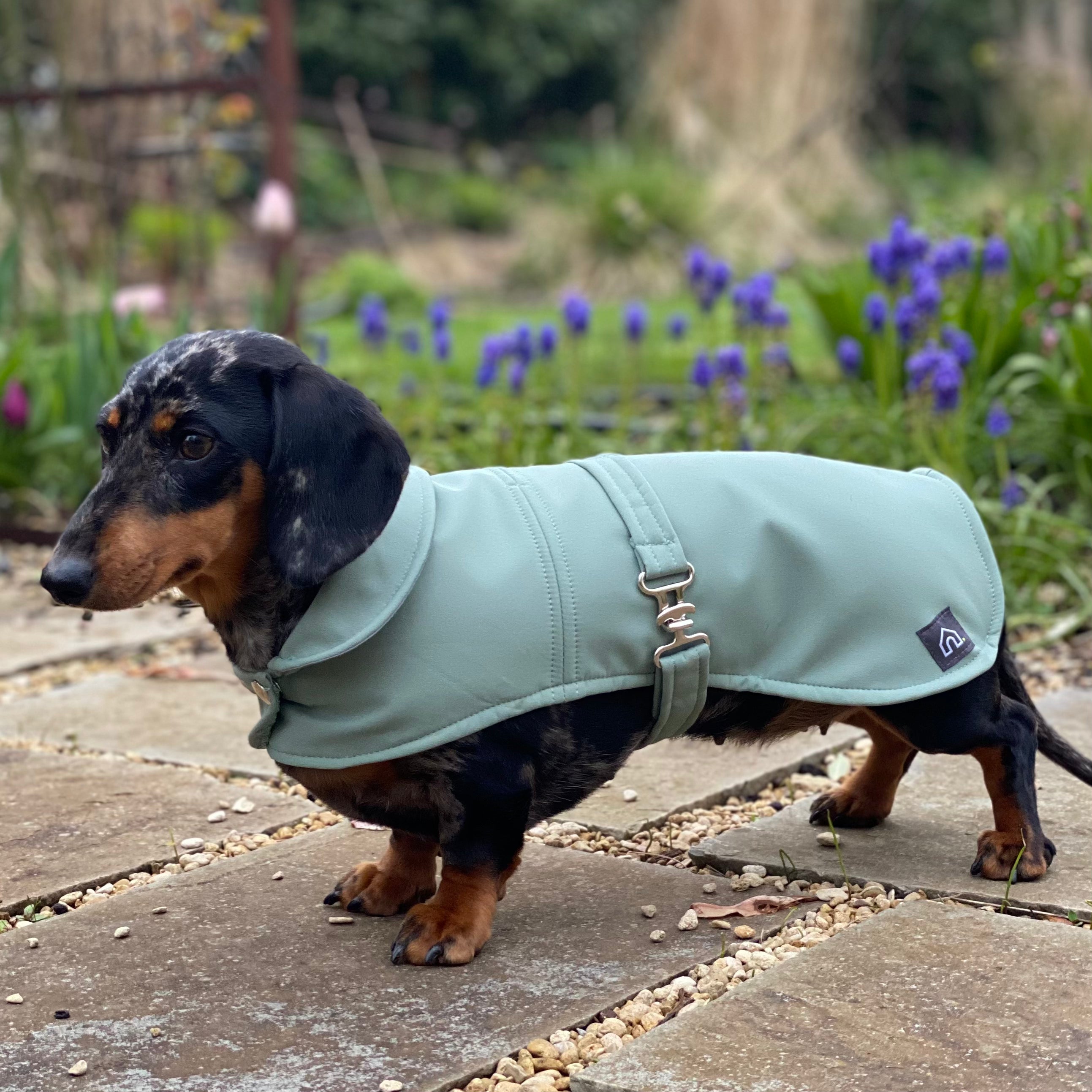 Wiener 2025 dog raincoat