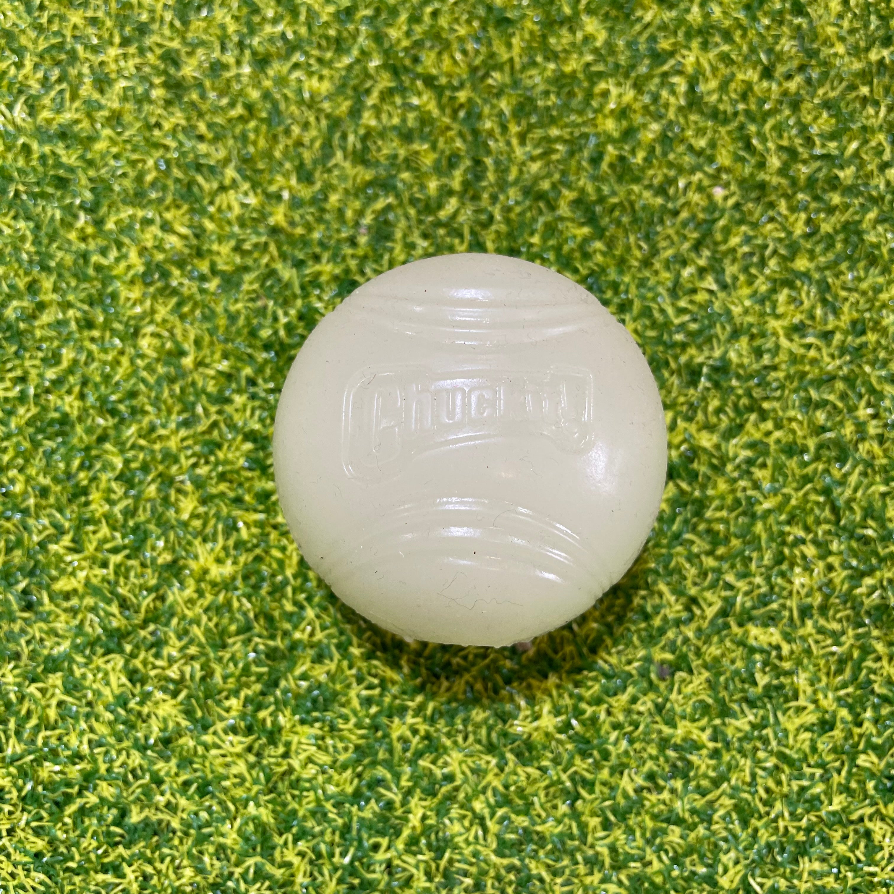 ChuckIt Max Glow in the Dark Ball Best Dog Balls Doghouse