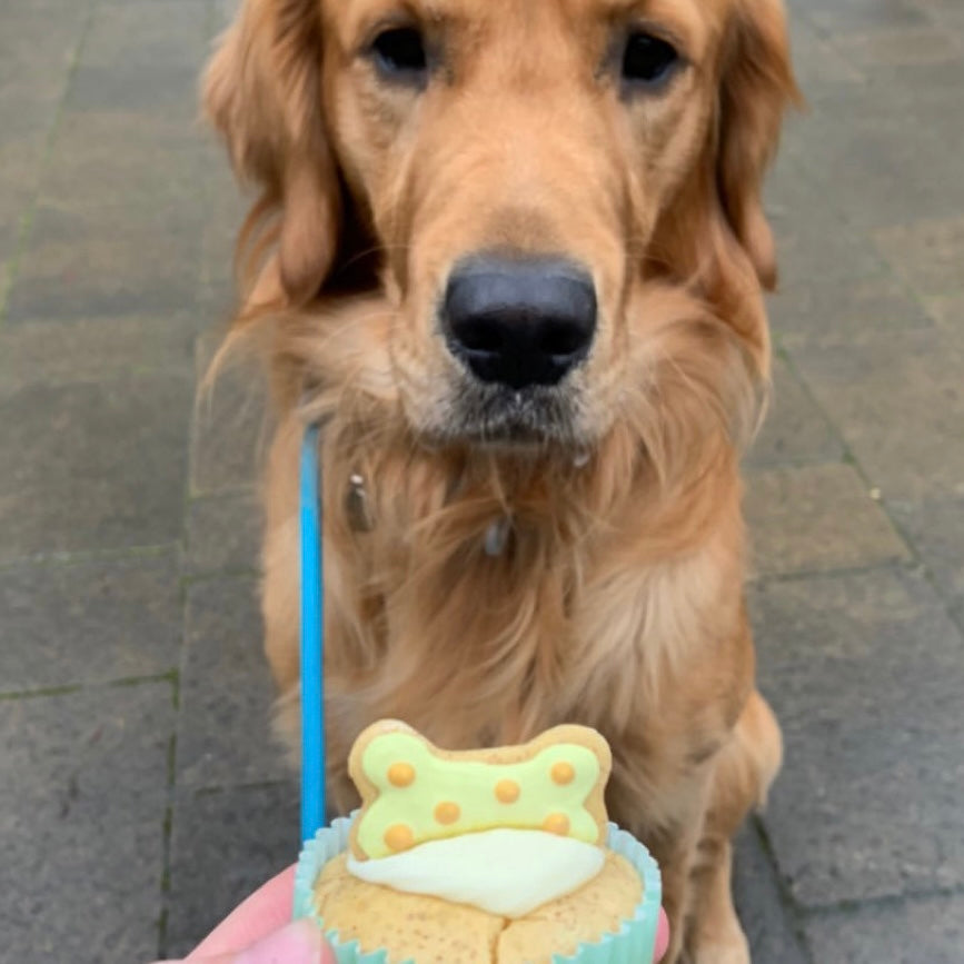 Cupcakes for Dogs