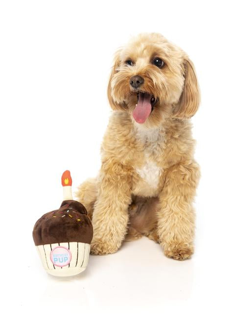 birthday cupcake dog toy
