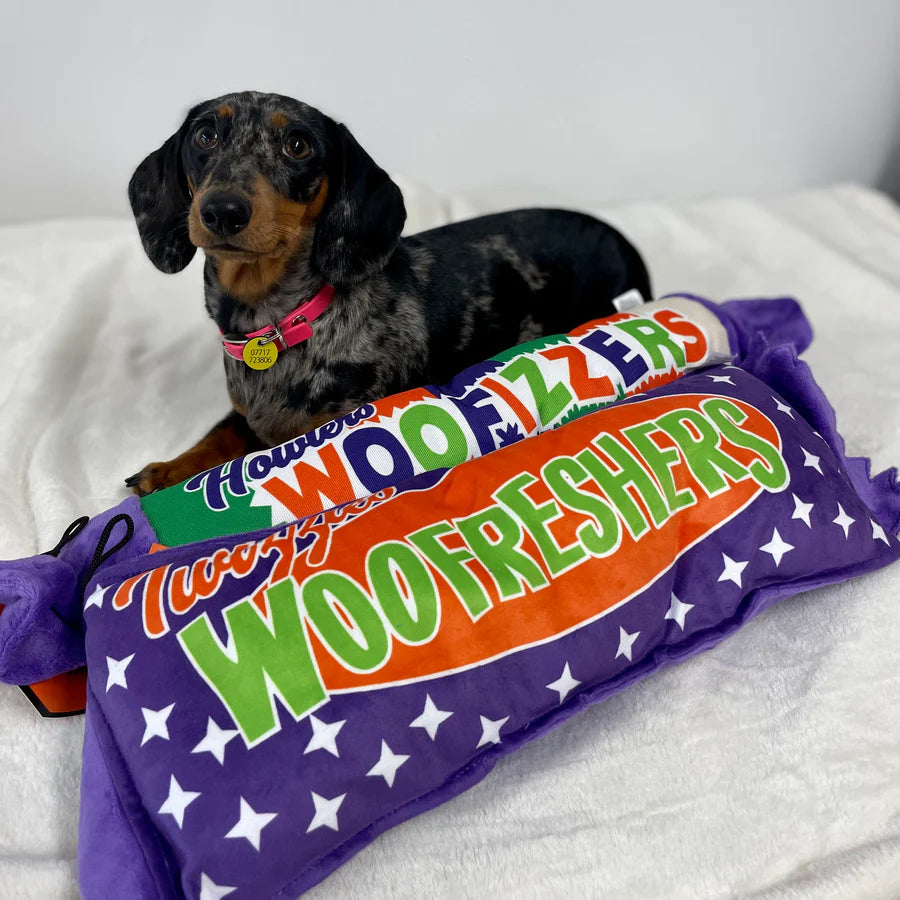 Woofizzers and Woofreshers Giant Sweet Dog Toys
