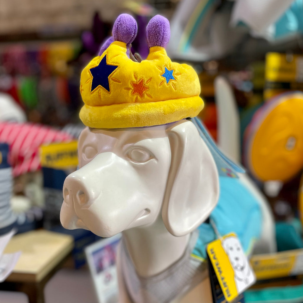 Gold Crown Plush Dog Toy