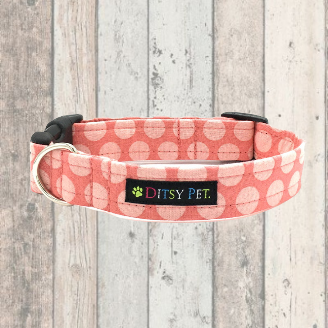 Puppy online dog lead