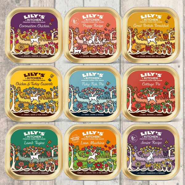 Lily's kitchen wet puppy food outlet