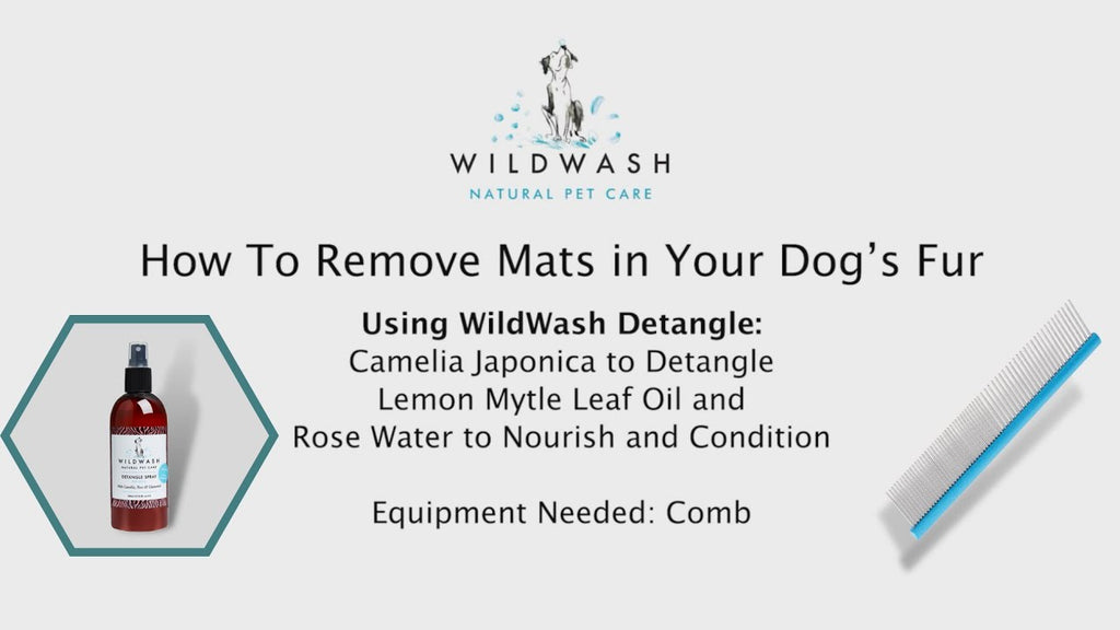 Wildwash Pro Detangle Spray - Doghouse