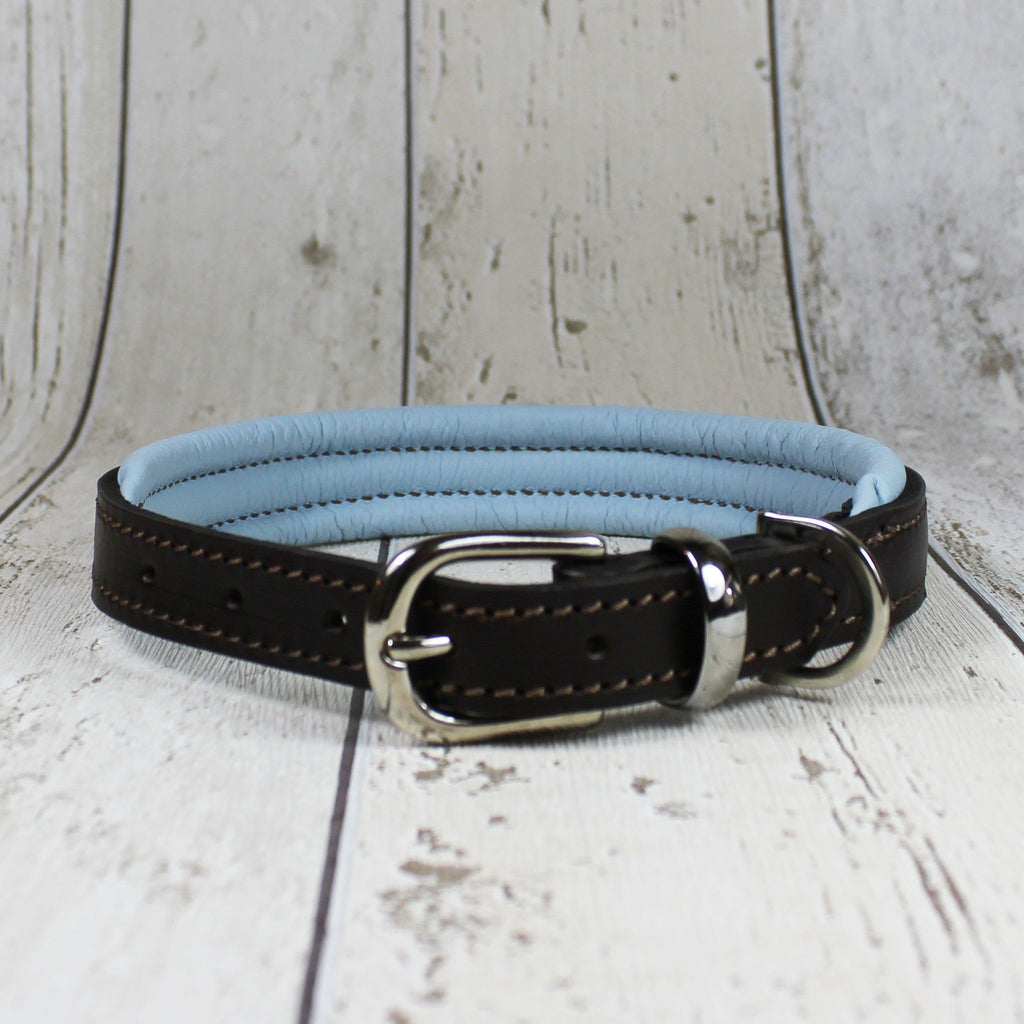 Padded Leather Dog Collar - Doghouse