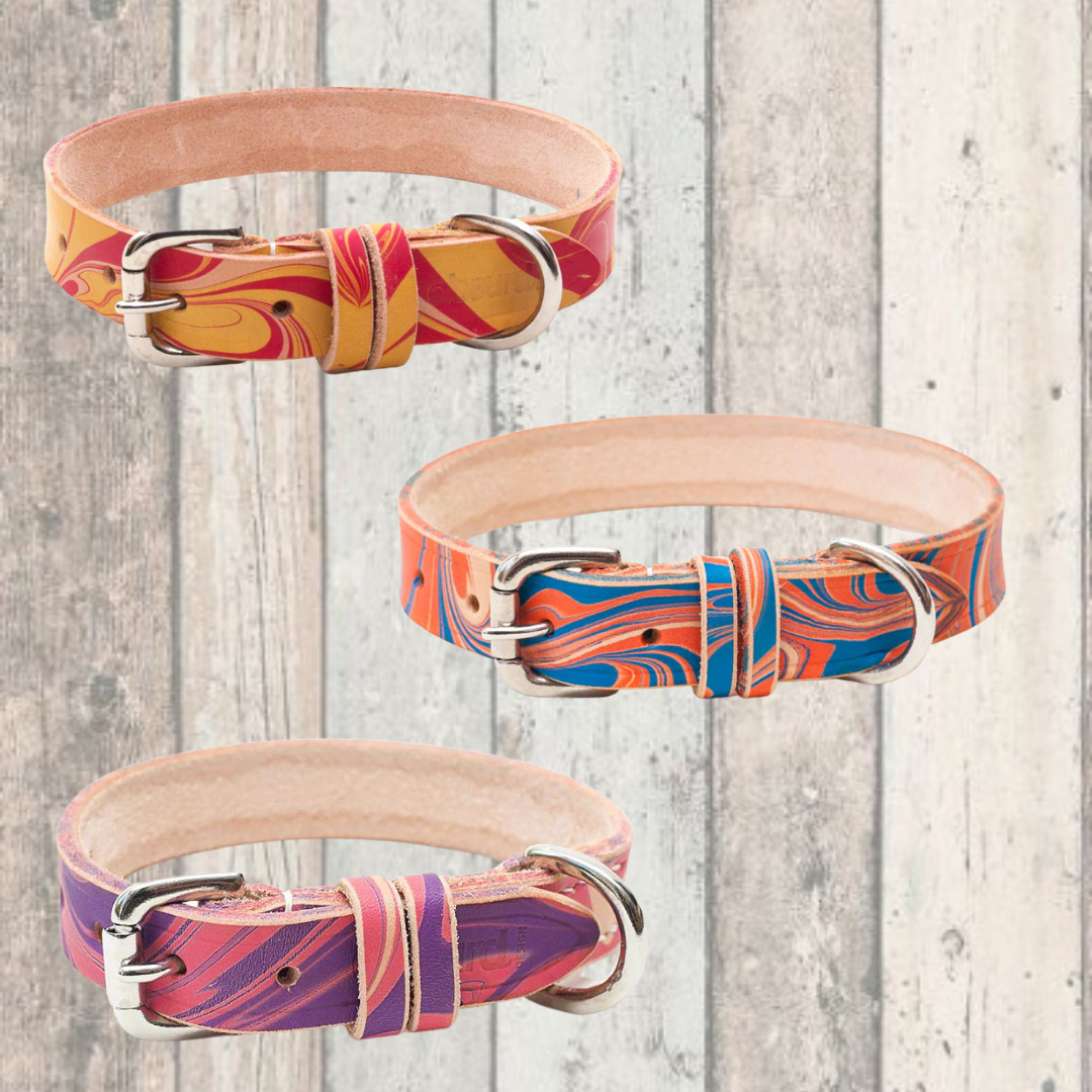 Patterned sales dog collars