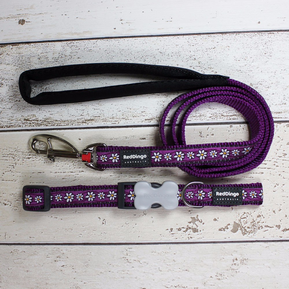 Purple Daisy Red Dingo Dog Collar and Lead - Doghouse