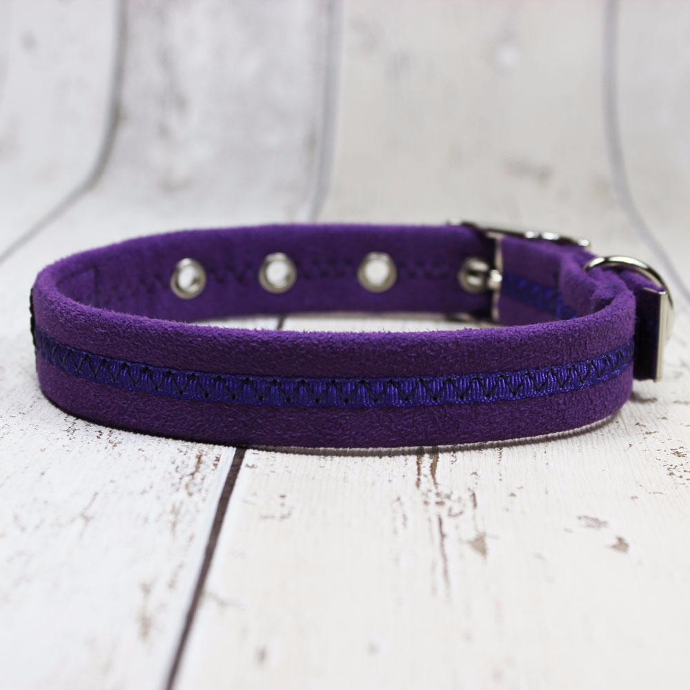 Purple Oscar and Hooch Dog Collar - Doghouse