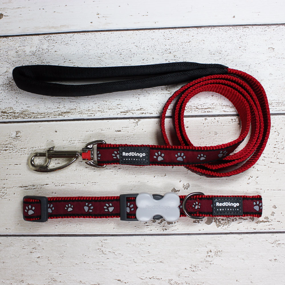 Red Paws Red Dingo Dog Collar and Lead - Doghouse