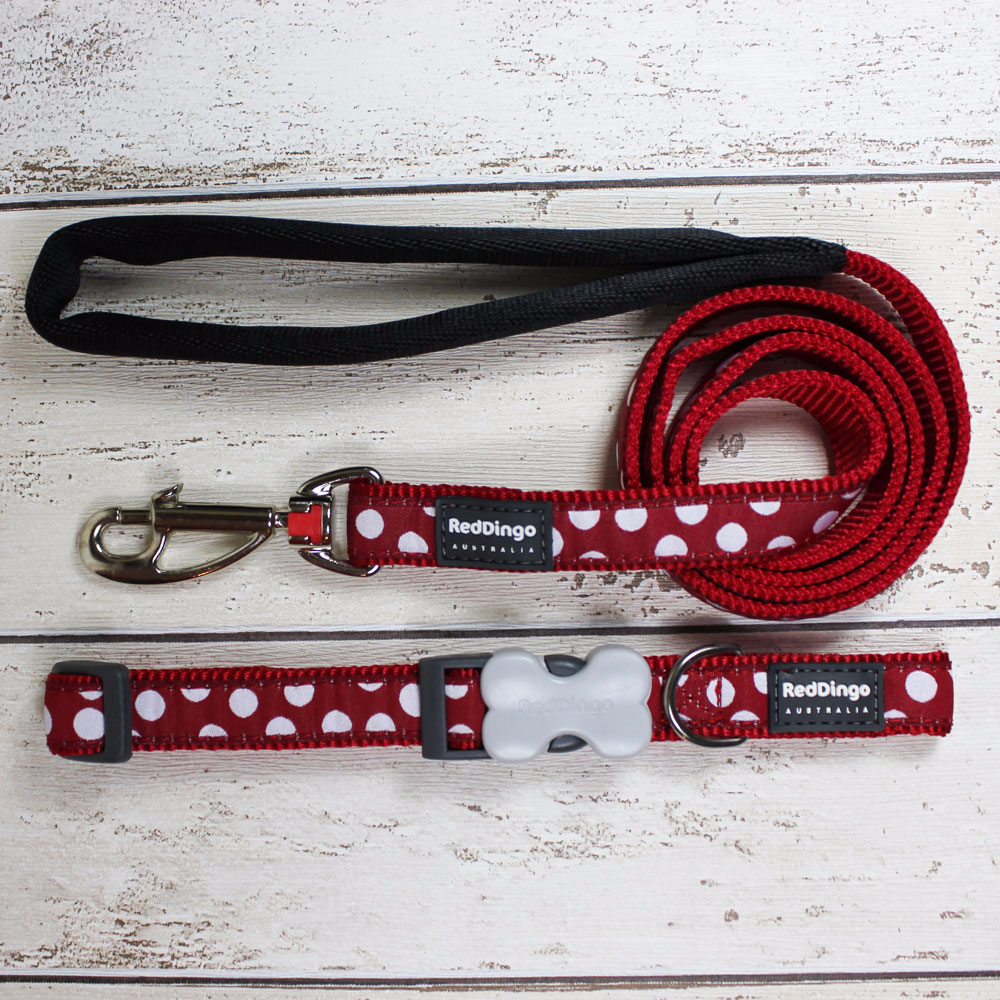 Red Polka Dot Red Dingo Dog Collar and Lead - Doghouse
