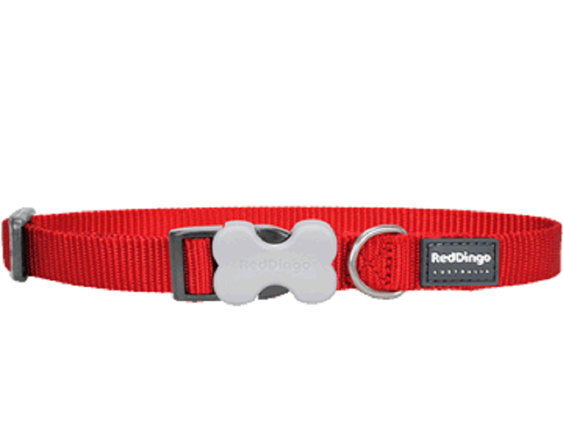 Simply Red Red Dingo Dog Collar and Lead