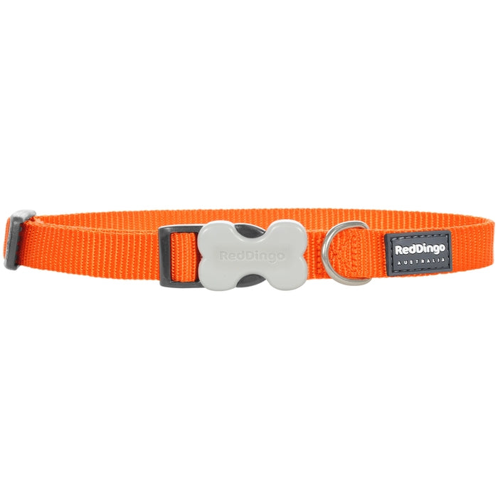 Red Dingo Simply Orange Dog Collar with Matching Lead Doghouse