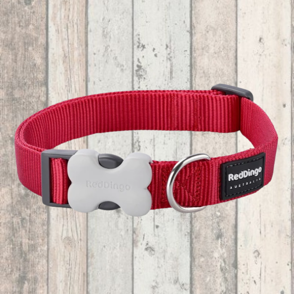 Simply Red Red Dingo Dog Collar and Lead
