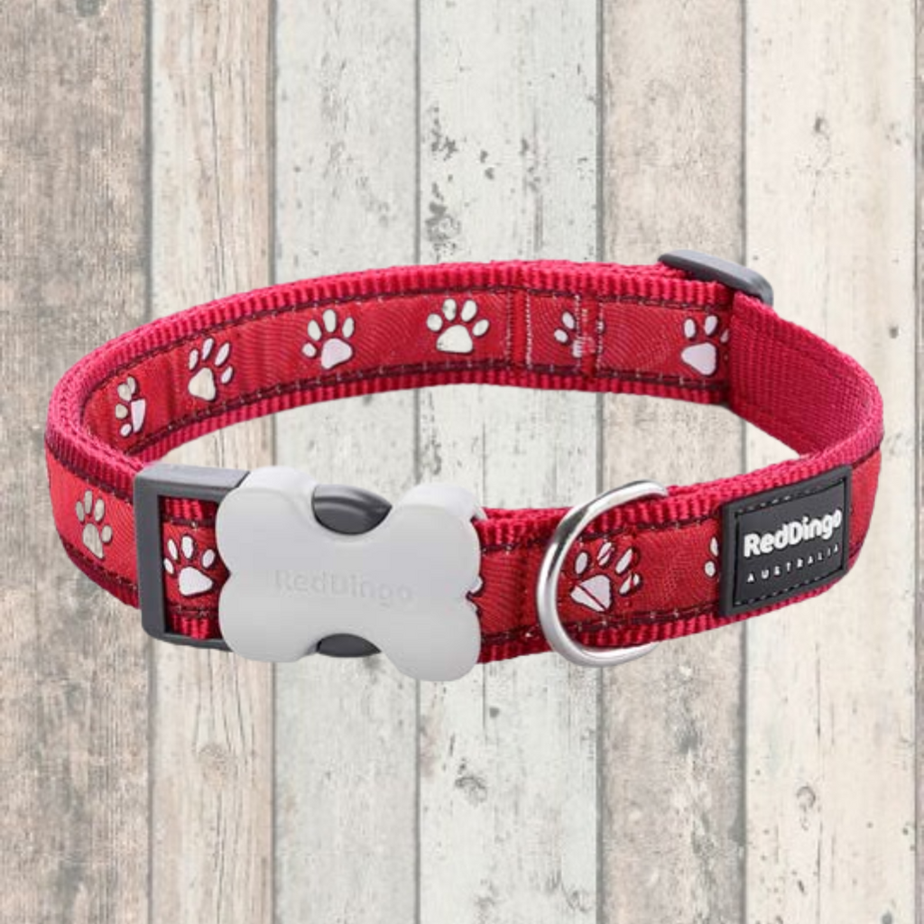 Red Paws Dog Collar by Red Dingo - DOGHOUSE