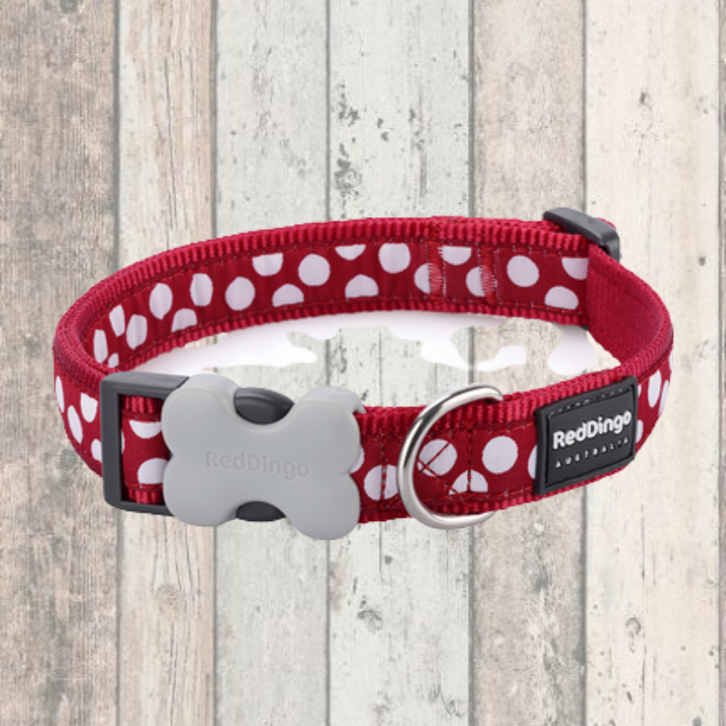 Red Polka Dot Dog Collar by Red Dingo - DOGHOUSE