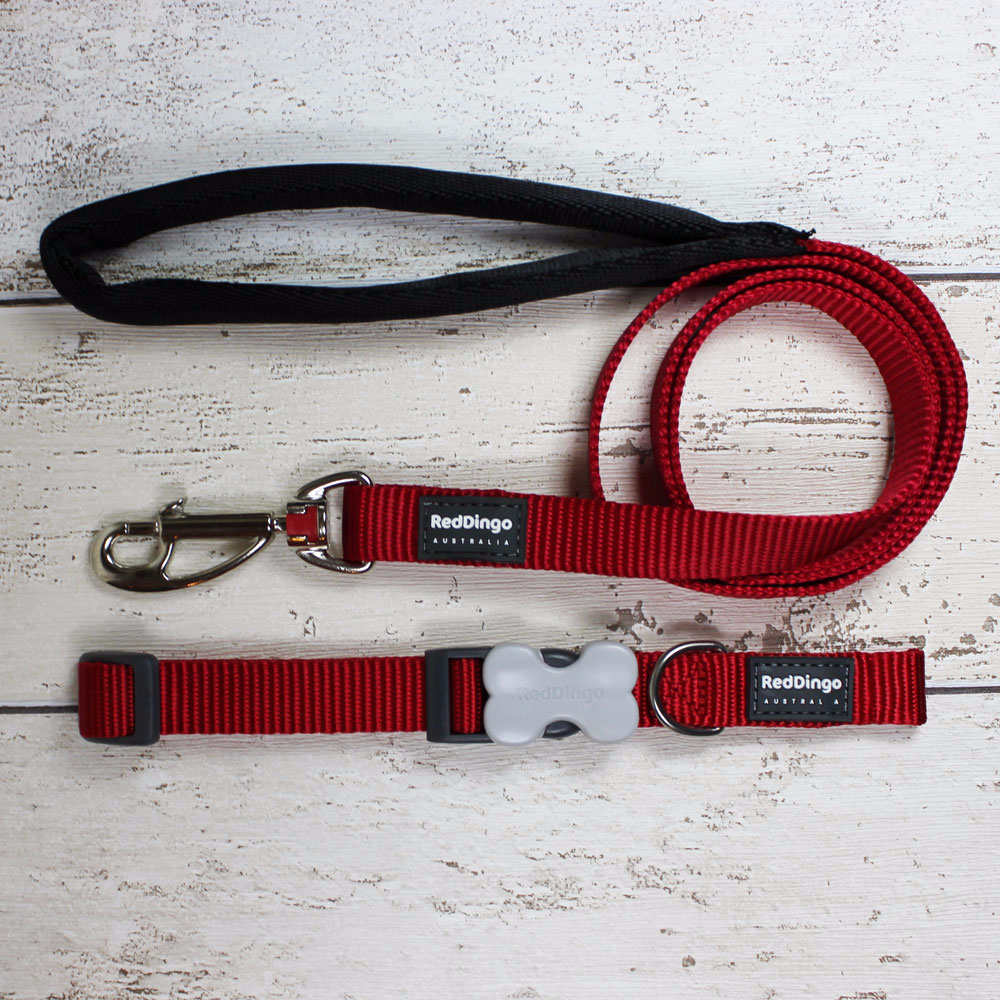 Simply Red Red Dingo Dog Collar and Lead - Doghouse
