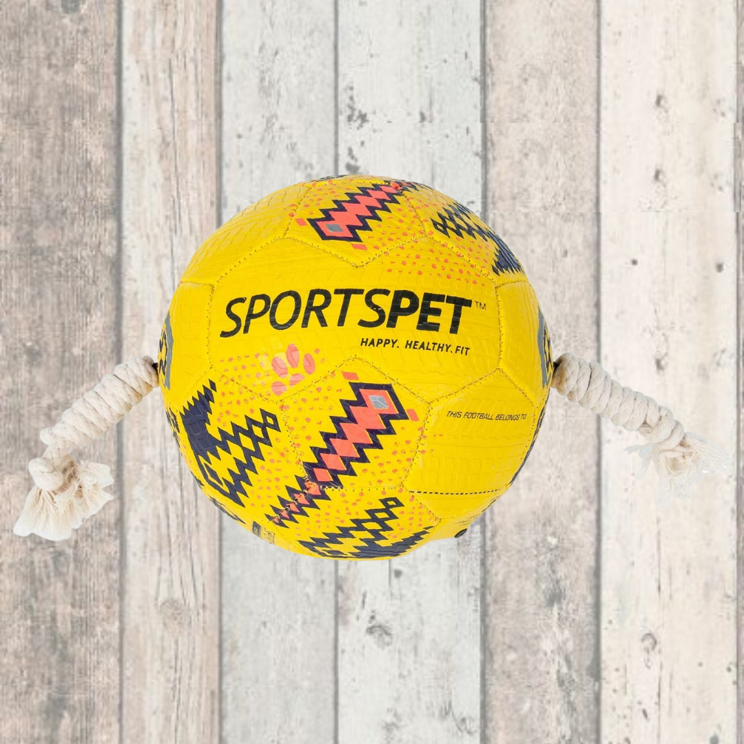 SportsPet Tough Durable Football with Rope Best Dog Balls DOGHOUSE