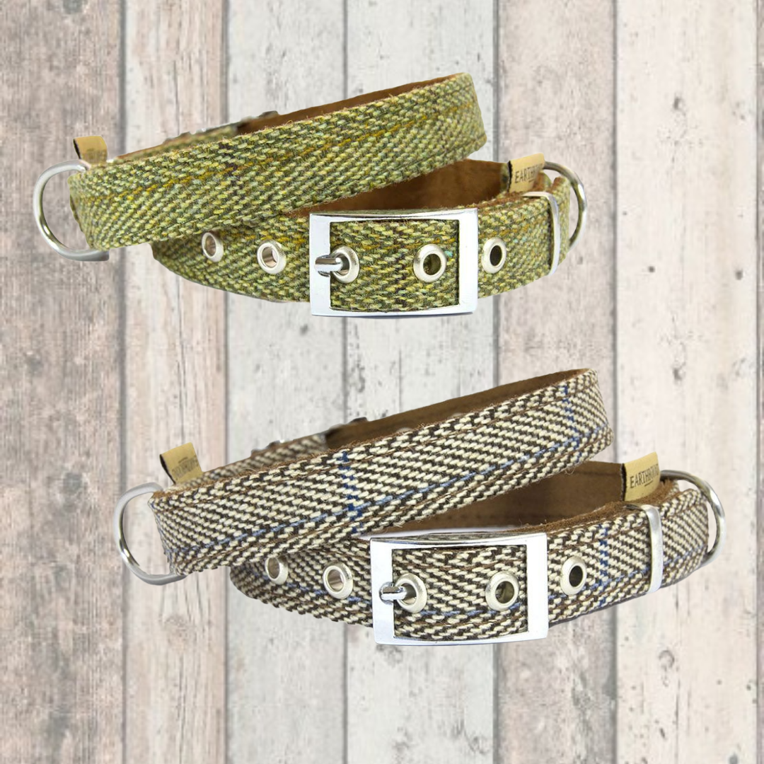 Green tweed dog sales collar