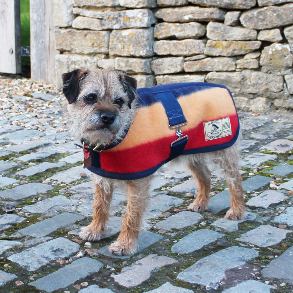 Friday fox whippet coats hot sale